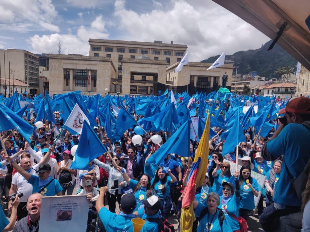 marcha pro vida en colombia 2019, azul celeste