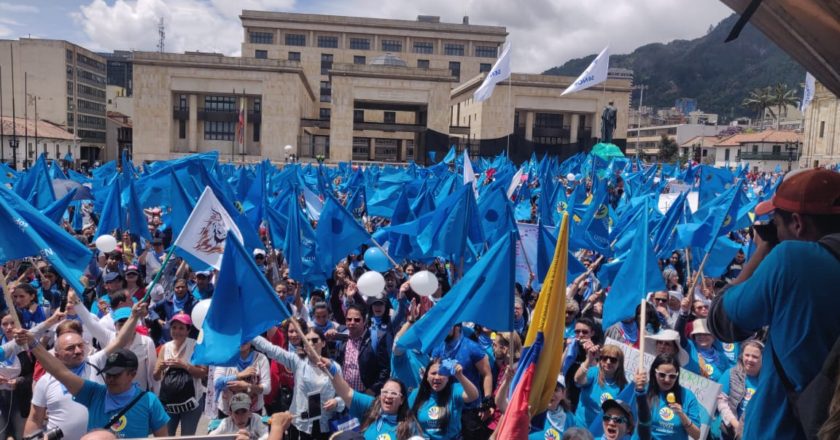 marcha pro vida en colombia 2019, azul celeste